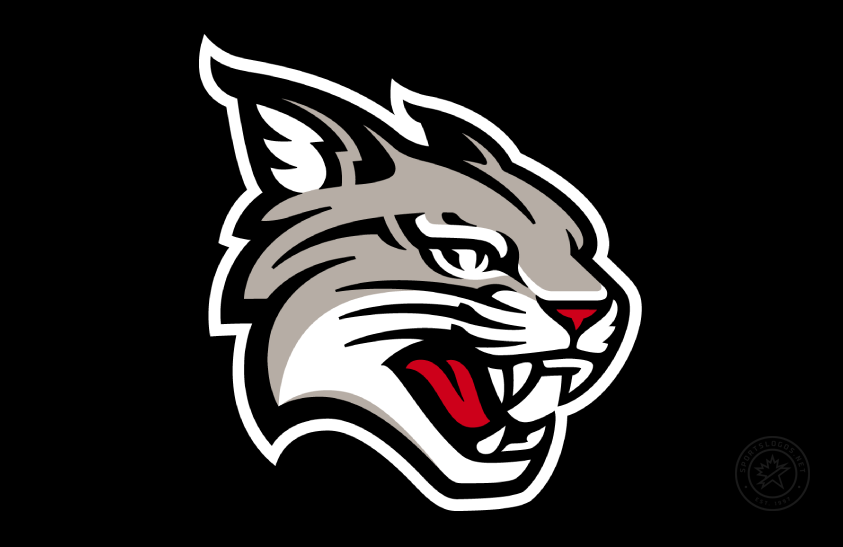Davidson Wildcats 2023-Pres Primary Dark Logo diy iron on heat transfer